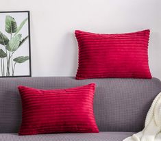 two red pillows sitting on top of a gray couch next to a white blanket and green plant