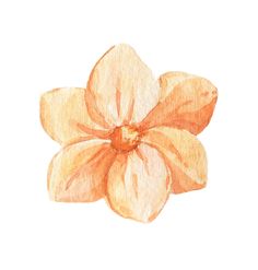 an orange flower is shown in this watercolor painting style, with the petals slightly open