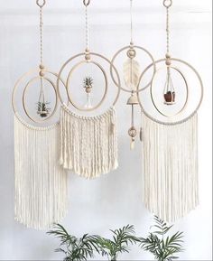 three macrame dream catchers hanging from the ceiling with plants in them and air plant on top