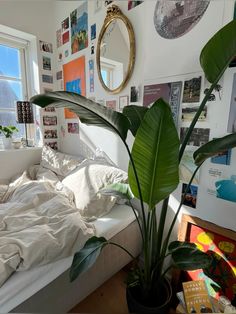 a bedroom with a bed, plant and pictures on the wall