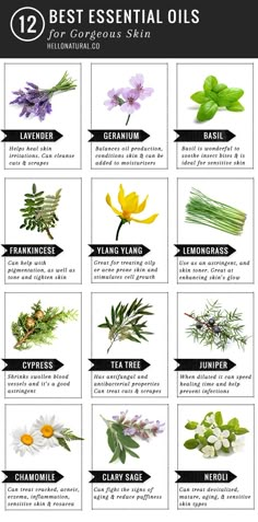 Best essential oils for gorgeous skin Artery Cleanse, Essential Oils For Skin, Baking Soda Shampoo, Gorgeous Skin, Best Essential Oils, Oil Uses, Essential Oil Uses, Beauty Recipe, Doterra Essential Oils