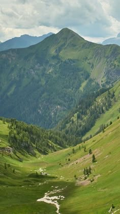 the mountains are covered in green grass and trees