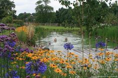 a pond surrounded by colorful flowers and trees