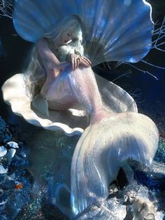 a mermaid sitting on top of a white shell