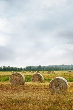 hay bales in an open field on a cloudy day by rowen for stocks