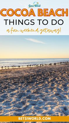 a beach with white sand, orange and blue skies and small birds at the shore with the words Cocoa Beach Things To Do, a fun weekend getaway written at the top Cocoa Beach Restaurants, Cocoa Beach Florida, Florida Travel Guide, Beautiful Vacation Destinations, Beach Destinations, Beach Pier