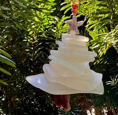 a glass ornament hanging from a tree