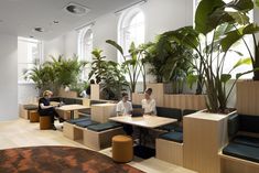 two people sitting at tables in an office with plants on the walls and floor to ceiling windows