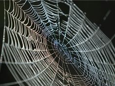 a spider web is shown in the dark with light coming from it's center