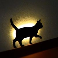 a cat that is standing in front of a light on a wall with the shadow of it's head