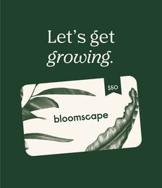 a green gift card with the words give a gift that grows