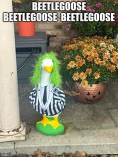 a fake bird dressed as beetlegoose in front of a potted plant with flowers