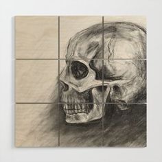 a pencil drawing of a skull on a tile wall in front of a white background