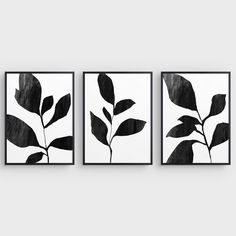 three black and white paintings on the wall with leaves in them, each one being framed