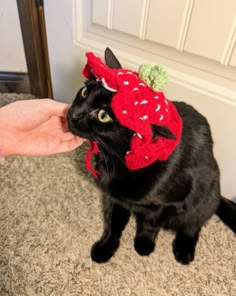 a black cat wearing a knitted strawberry hat