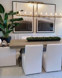 a dining room table with white chairs and a potted plant in the center surrounded by two framed pictures