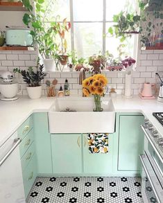 a kitchen filled with lots of plants and flowers