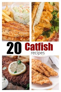 some fish and fries are shown with the words, 20 catchfish recipes on it