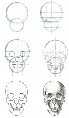 four different types of skulls are shown in this drawing lesson