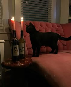 a black cat standing on top of a pink couch next to two bottles of wine