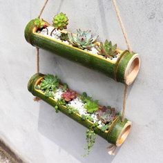 two green planters hanging on a wall with succulents