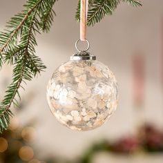 a glass ornament hanging from a christmas tree