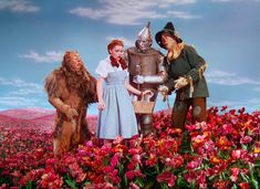 the wizard and the person are standing next to each other in a field with flowers