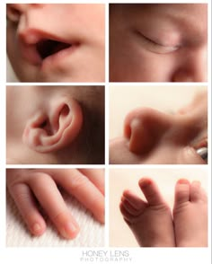 Newborn baby photography detail shots Newborn Photography Detail Shots, Newborn Detail Shots, Maternity Picture Outfits, Diy Newborn Photography, Foto Newborn, Newborn Baby Tips, Baby Photoshoot Boy, Newborn Baby Photoshoot