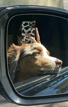 a dog sticking its head out the window of a car while holding a cell phone