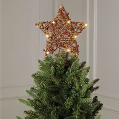 a christmas tree decorated with lights and a star shaped ornament on the top