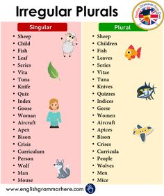 the irregular and singular words in english are shown with an image of two different animals