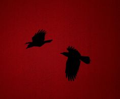 two black birds flying in the air on a red background with one bird silhouetted