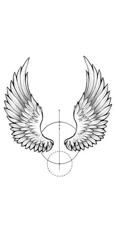 a drawing of an angel wing with the center line drawn out