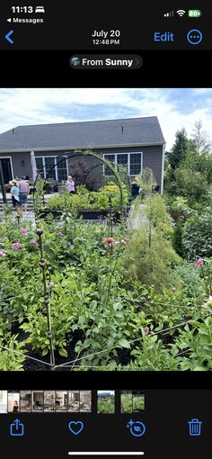 an image of some plants in front of a house with the caption's name on it