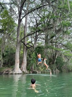 two people are jumping into the water from a tree branch to another person swimming in it