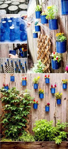 several pictures of different types of plants growing in plastic containers on a fenced in area