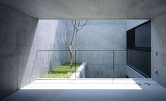 an empty concrete room with a tree in the center and grass growing on the floor