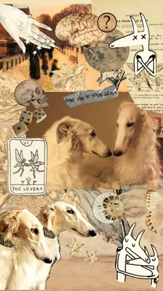 collage of dogs and birds with words written on them