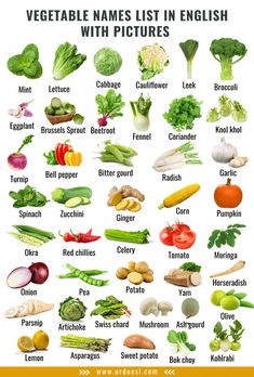 vegetables list in english with pictures