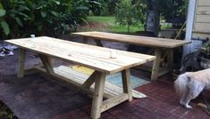 a dog standing next to a wooden picnic table