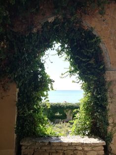 an arched window with vines growing on the side of it and water in the background