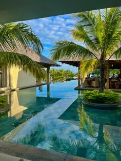 an outdoor swimming pool surrounded by palm trees