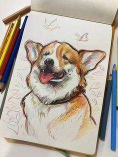 a drawing of a corgi with colored pencils next to it on a table