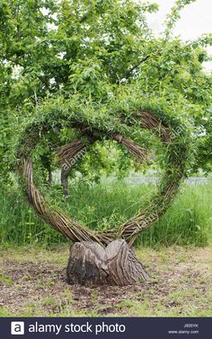 a heart shaped tree branch sculpture made out of branches in the middle of a field