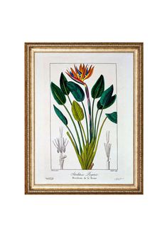 a painting with leaves and flowers on it in a gold framed frame, against a white wall