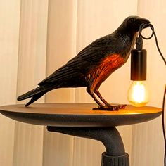 a bird sitting on top of a table next to a light