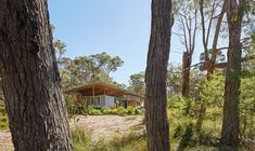 a house in the woods surrounded by trees