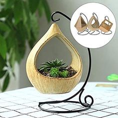 a wooden hanging planter with two succulents and a small green plant in it