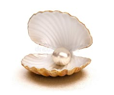 a pearl in an oyster shell on a white background