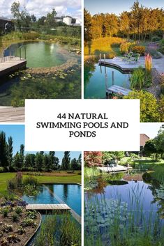 four pictures with the words natural swimming pools and pondes